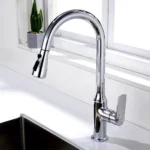 Chrome Pull-Down Faucet